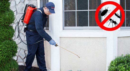 Yeniçamlık Böcek İlaçlama böcek ilaçlama ve haşere kontrolü — ilaclama-tr.com